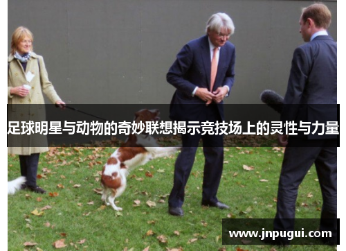 足球明星与动物的奇妙联想揭示竞技场上的灵性与力量